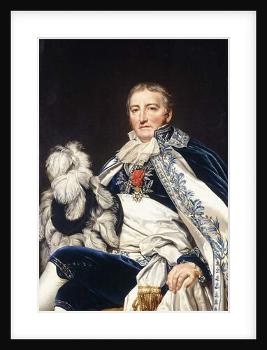 Portrait of Count Francais de Nantes by Jacques Louis David