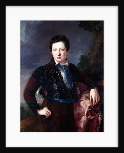 Portrait of Don Matias Edmundo Tirel y Gomez de las Casas, the future Second Marquis of Ulagares and Viscount of Castel Ruiz by Luis Lopez Piquer