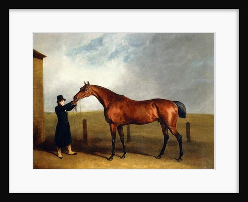 Colonel Udny's Bay Colt Truffle by Sorcerer Held by a Groom, 1815 by Abraham Cooper