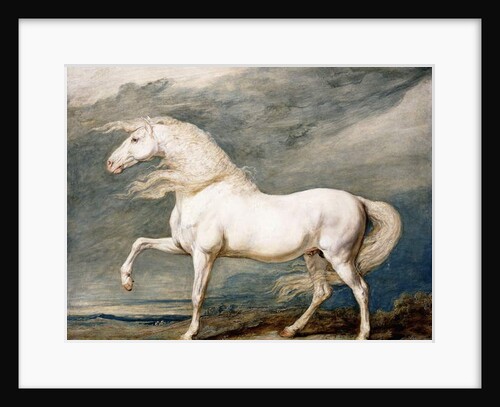 Adonis, King George III's Favourite Charger by James Ward