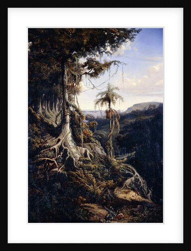 Jala-Jala Forest, c.1839-42 by Auguste Borget