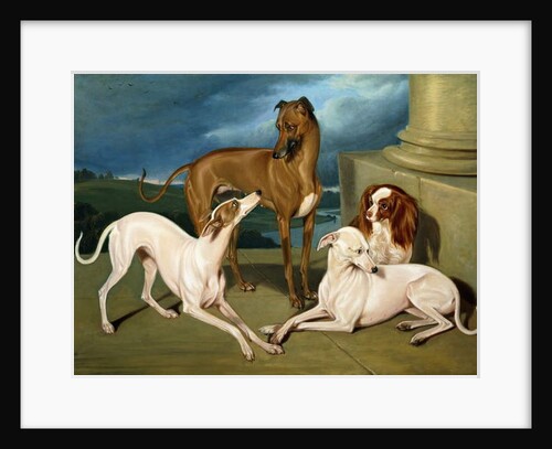 Whippets and a King Spaniel, 1837 by Edmund Jr Havell