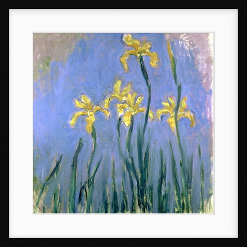 The Yellow Irises, c.1918-25 by Claude Monet