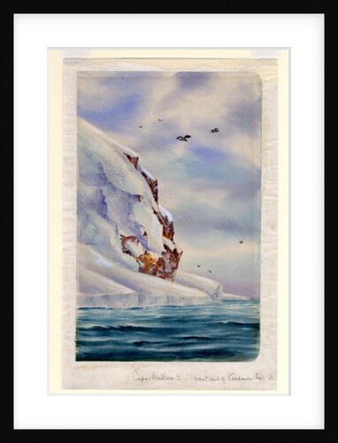 Cape Wadsworth, Coulman Island by Edward Adrian Wilson