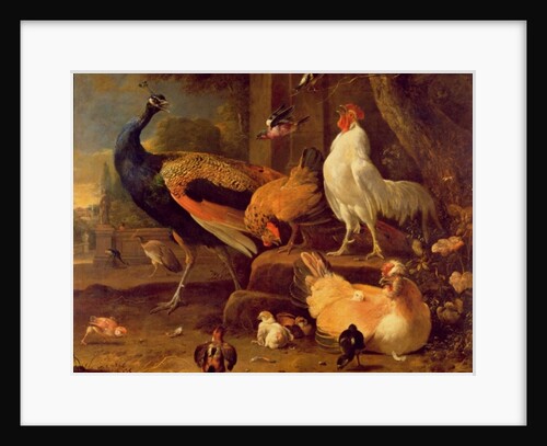 Poultry, c.1670 by Melchior de Hondecoeter