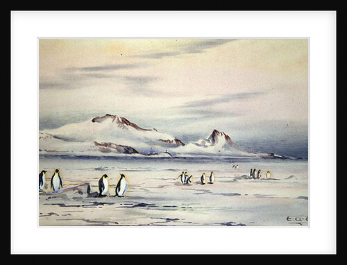 The Discovery Winter Quarters, c.1901-04 by Edward Adrian Wilson