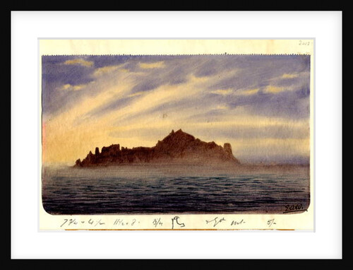 South Trinidad, 1901 by Edward Adrian Wilson