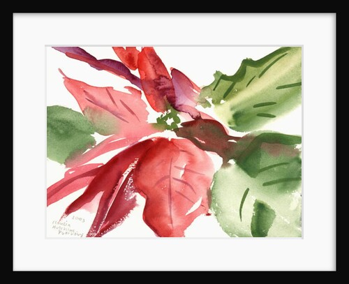 Poinsettia, 2003 by Claudia Hutchins-Puechavy