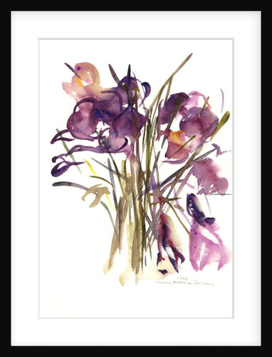 Crocus, 2003 by Claudia Hutchins-Puechavy