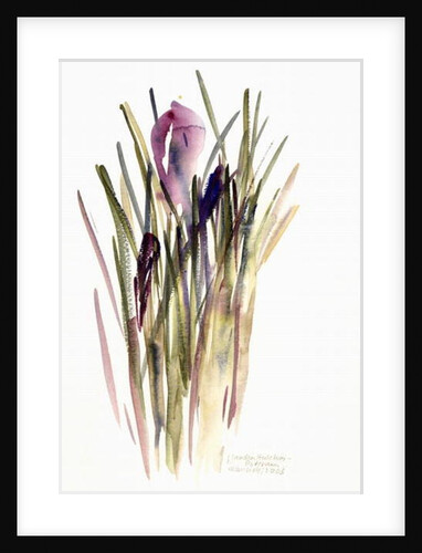 Crocus, 2003 by Claudia Hutchins-Puechavy
