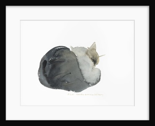 Sleeping cat, 1985 by Claudia Hutchins-Puechavy