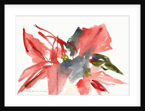 Poinsettia, 2003 by Claudia Hutchins-Puechavy