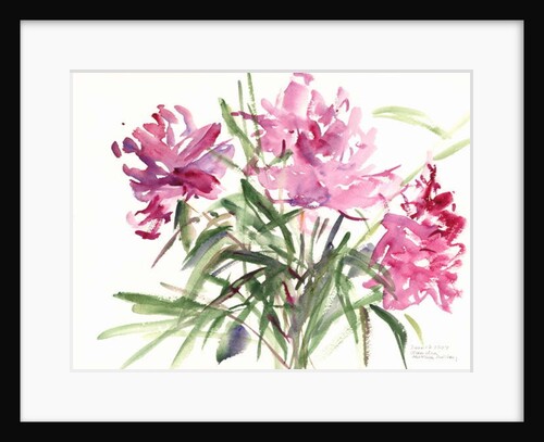 Peonies, 2004 by Claudia Hutchins-Puechavy