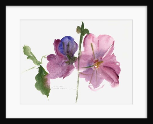 Hollyhocks, 1988 by Claudia Hutchins-Puechavy