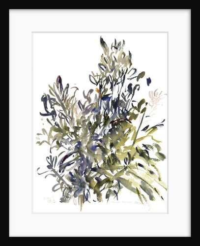 Senecio and other plants, 2003 by Claudia Hutchins-Puechavy