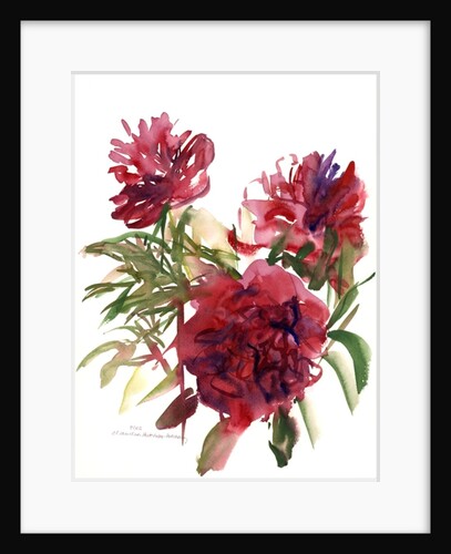 Peonies, 2002 by Claudia Hutchins-Puechavy