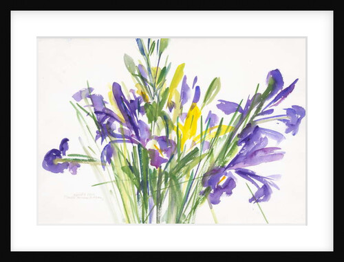Irises, 1999 by Claudia Hutchins-Puechavy
