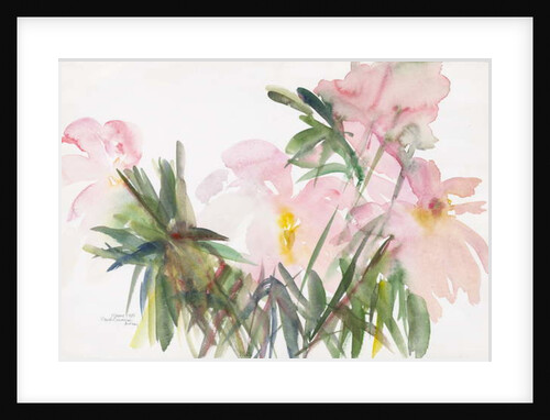 Peonies, 1987 by Claudia Hutchins-Puechavy