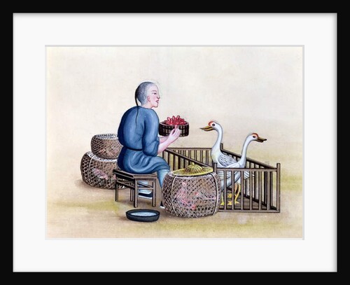 The Poultry Merchant, from a book on the street calls of Peking, c.1785 by French School