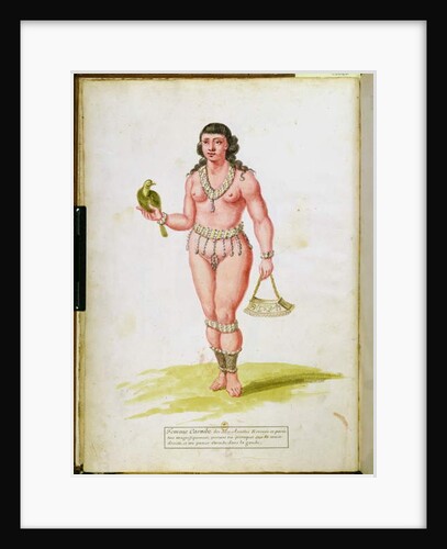 Native of the Caribbean with a parrot by Charles Plumier