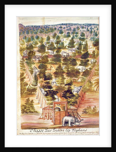 Elephant Hunt in Siam, from an account of the Jesuits in Siam, 1688 by French School