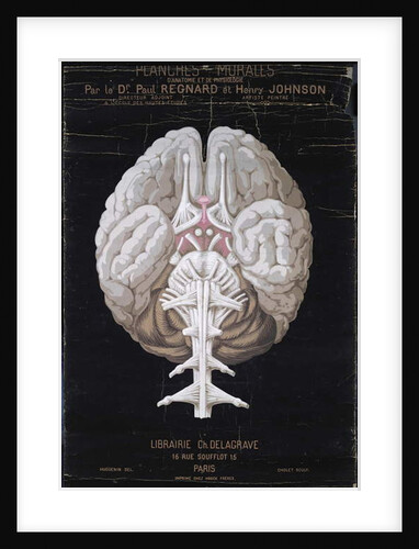 The Brain by French School