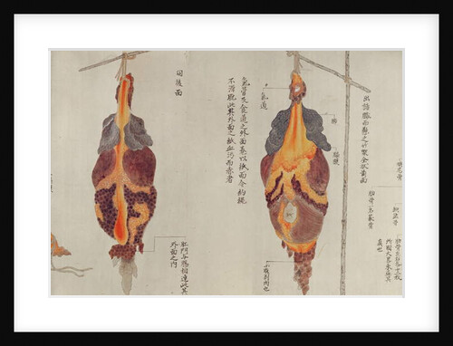 The lungs from the dissection of a torture victim of 1796 by Japanese School