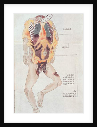 A disembowelled body from the dissection of a torture victim of 1796 by Japanese School