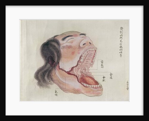 The anatomy of the mouth by Japanese School