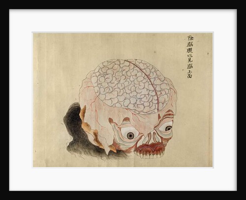 The anatomy of the brain from the dissection of a torture victim of 1796, from a makimono of a Midori doctor, 1842 by Japanese School