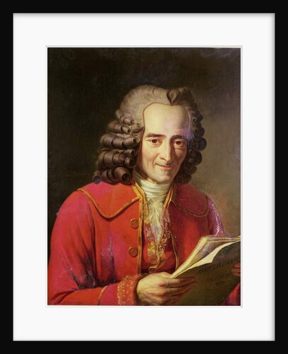 Voltaire reading 'L'Agent Litteraire', 1811 by Jacques Augustin Catherine Pajou