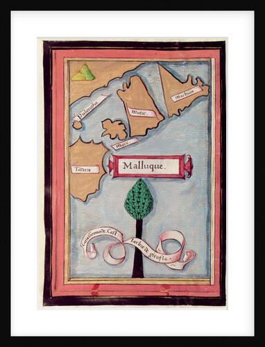 Ms 24224 Fol.73v Map of the Spice Islands from an account of the Voyage of Ferdinand Magellan by French School