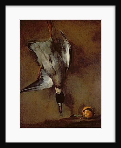A mallard duck hanging on a wall with a Seville orange, 1720-30 by Jean-Baptiste Simeon Chardin