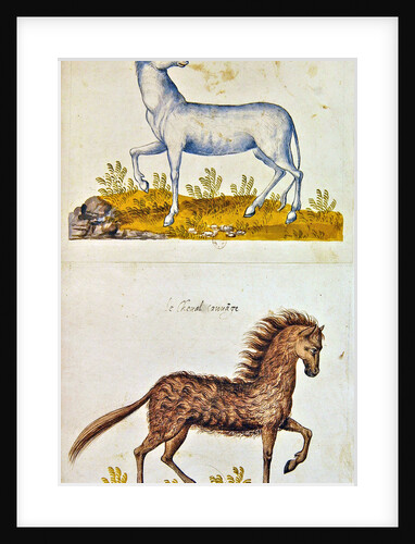Drawings of a unicorn and a wild horse by French School