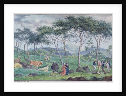 Herd of cattle with cowherds near the river on the east of the Ile de la Reunion, October 1812 by Jean-Joseph Patu de Rosemont