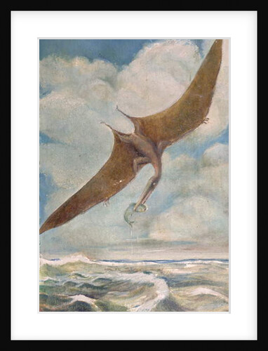 Pterodactyl fishing by French School