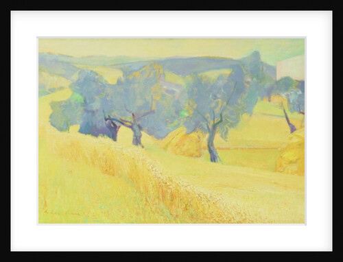 Olive Trees in Tuscany, 1966 by Antonio Ciccone