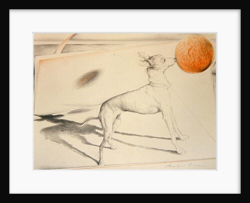 Space Dog by Antonio Ciccone