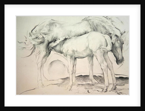 Horses at Coolmore, 1990 by Antonio Ciccone