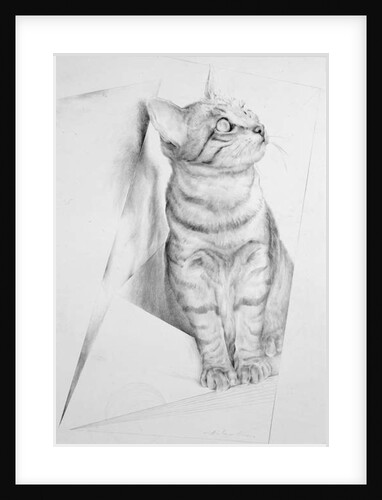 Luce Questioning by Antonio Ciccone