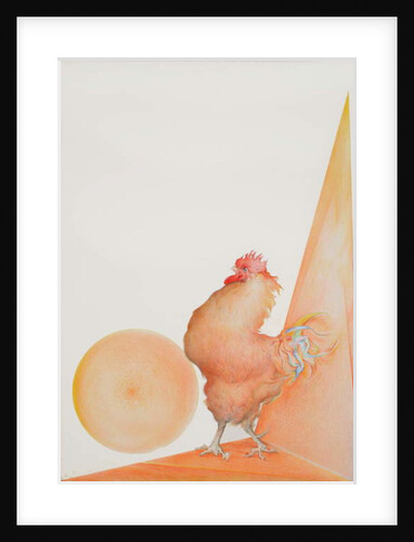 Rooster by Antonio Ciccone