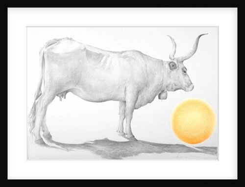 Mucca in Maremma by Antonio Ciccone