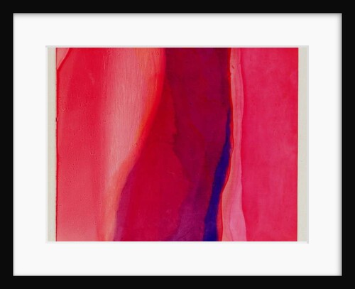 Sari Fish, 2000 by Charlotte Johnstone