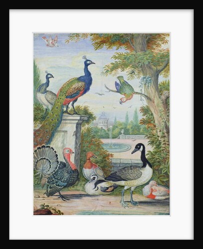 Exotic Birds and Domestic Fowl in a Picturesque Park, early 18th century by Jakob Bogdany