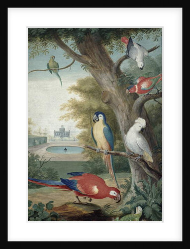 Parrots and a Lizard in a Picturesque Park, early 18th century by Jakob Bogdany