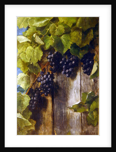 A fruiting vine, 1889 by Benjamin Champney