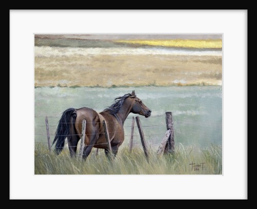 Dreams of Freedom, 2010 by Cruz Jurado Traverso