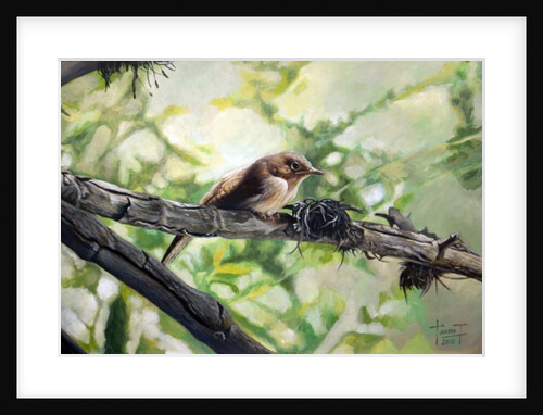 House Wren, the Harmonious Singing, 2010 by Cruz Jurado Traverso