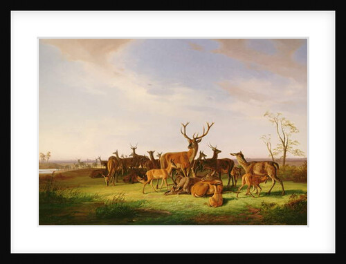 A Herd of Deer in a Sunlit Pasture by Theodor Julius Kiellerup