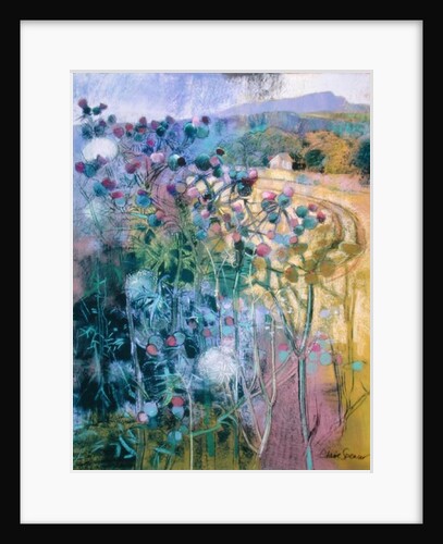 The Wild Beauty of Clee by Claire Spencer